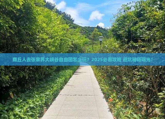 商丘去张家界大峡谷自由团