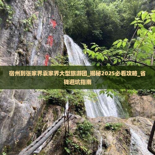 宿州到张家界袁家界大型旅游团