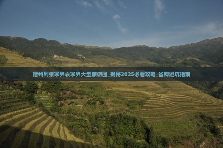 宿州到张家界袁家界大型旅游团
