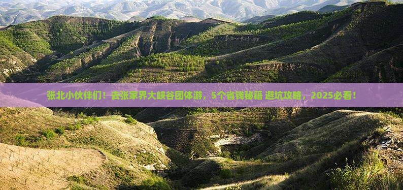 张北去张家界大峡谷团体旅游