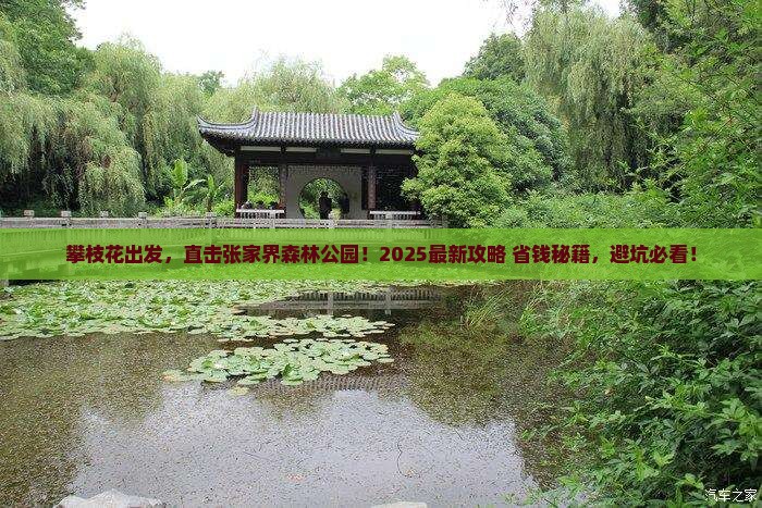 攀枝花去张家界森林公园旅游