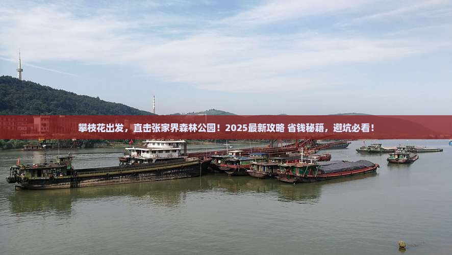 攀枝花去张家界森林公园旅游