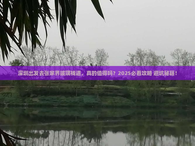 深圳去张家界玻璃栈道一日