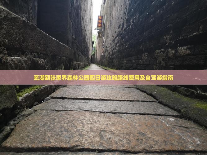 芜湖到张家界森林公园四日游
