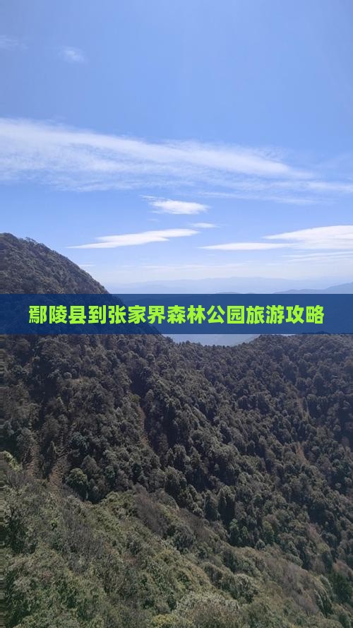 鄢陵县到张家界森林公园旅游