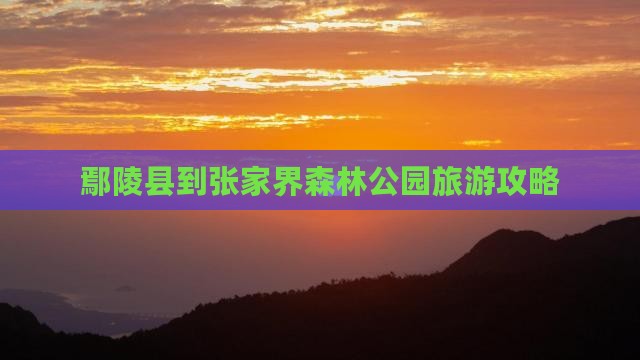 鄢陵县到张家界森林公园旅游
