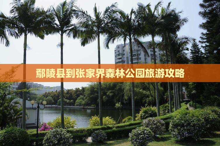 鄢陵县到张家界森林公园旅游