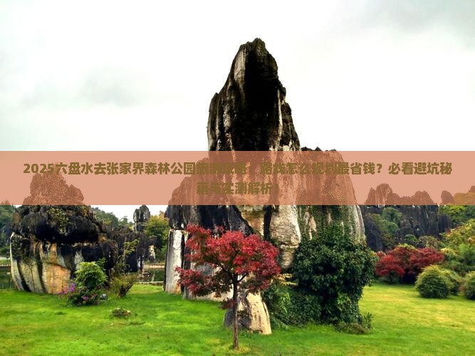 六盘水去张家界森林公园旅游