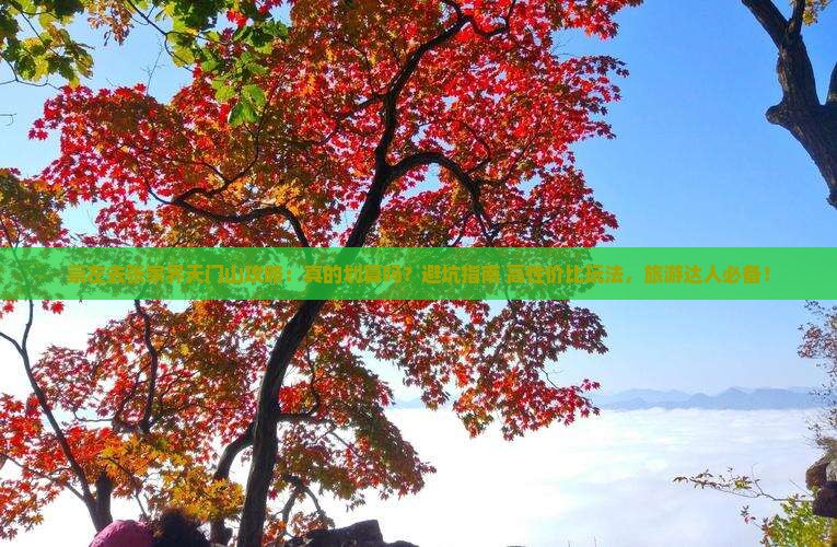 崇左去张家界天门山攻略