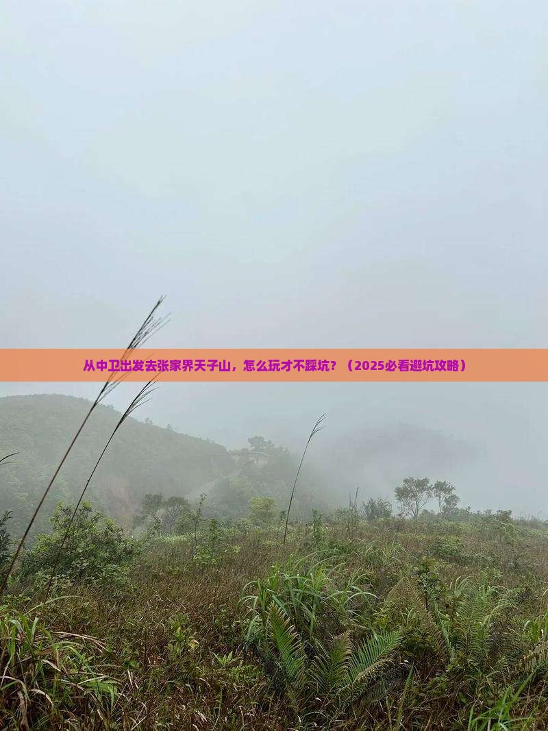 中卫去张家界天子山攻略
