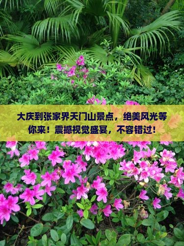 大庆到张家界天门山景点