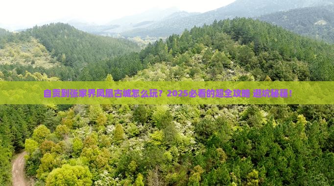 自贡到张家界凤凰古城旅行社