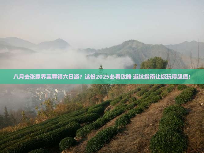 八月去张家界芙蓉镇六日游
