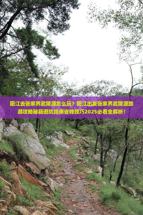 阳江去张家界武陵源旅行社