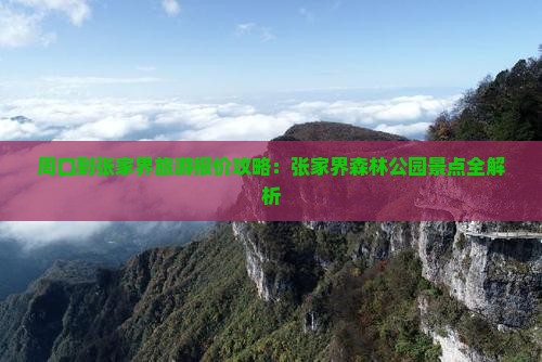 周口到张家界森林公园旅行社