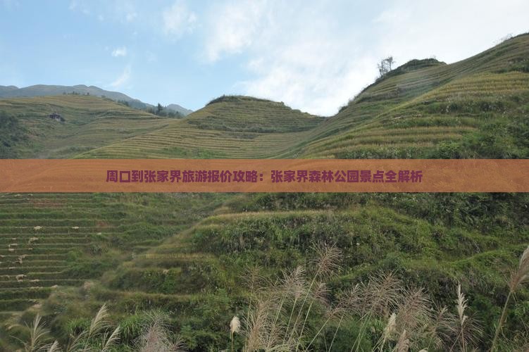 周口到张家界森林公园旅行社