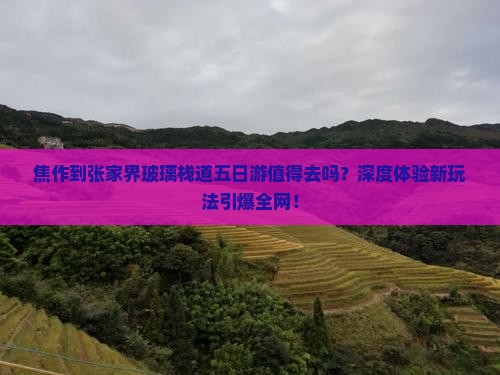 焦作到张家界玻璃栈道五日游