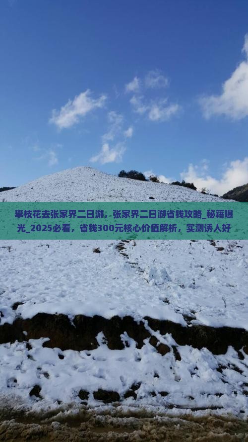 攀枝花去张家界二日游
