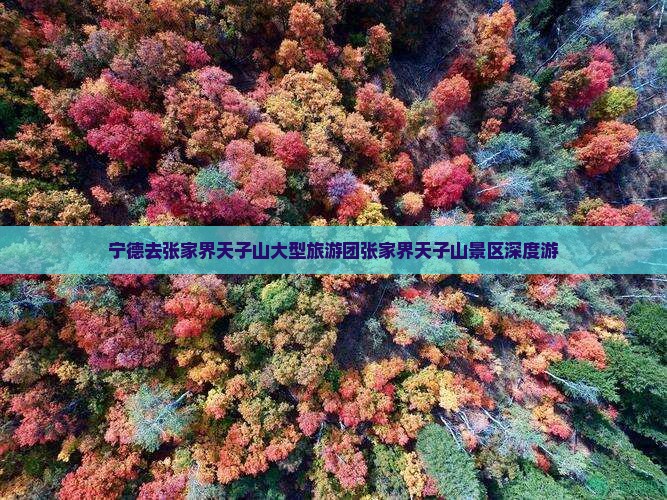 宁德去张家界天子山大型旅游团 宁德去张家界天子山大型旅游团
