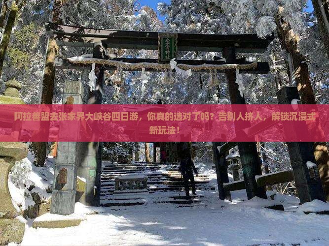 阿拉善盟去张家界大峡谷四日游