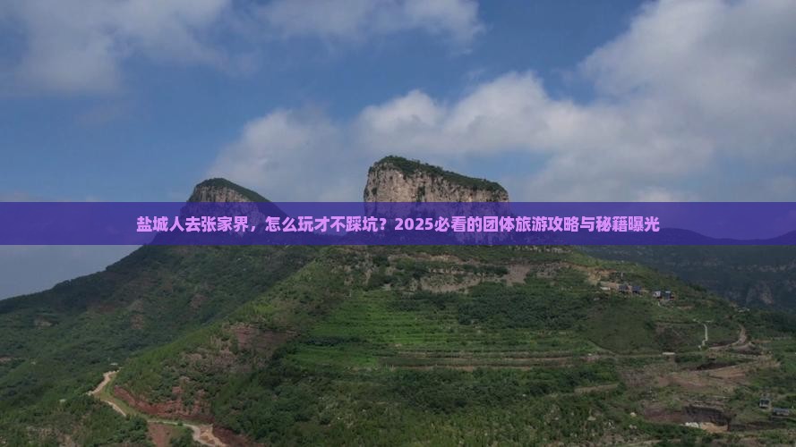 盐城去张家界团体旅游