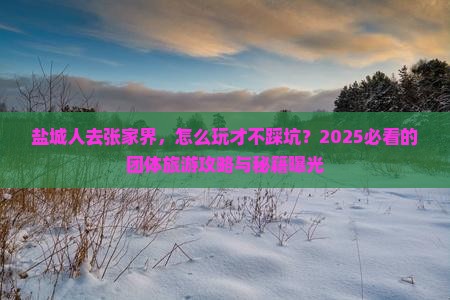 盐城去张家界团体旅游