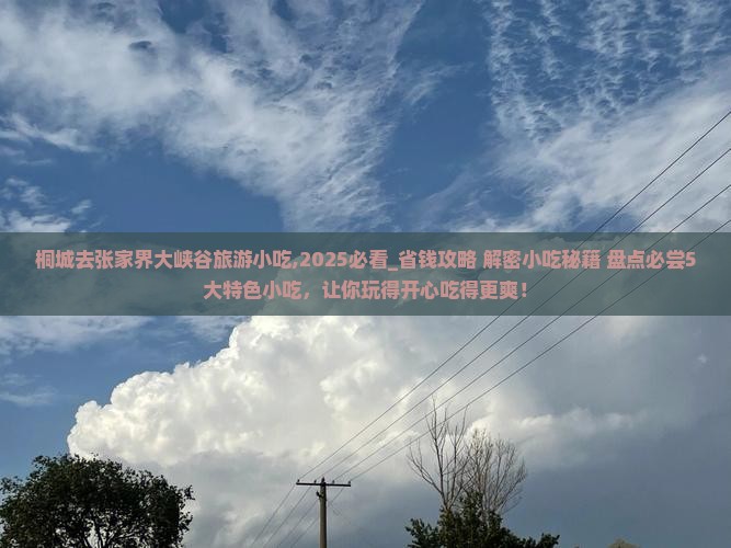 桐城去张家界大峡谷旅游小吃