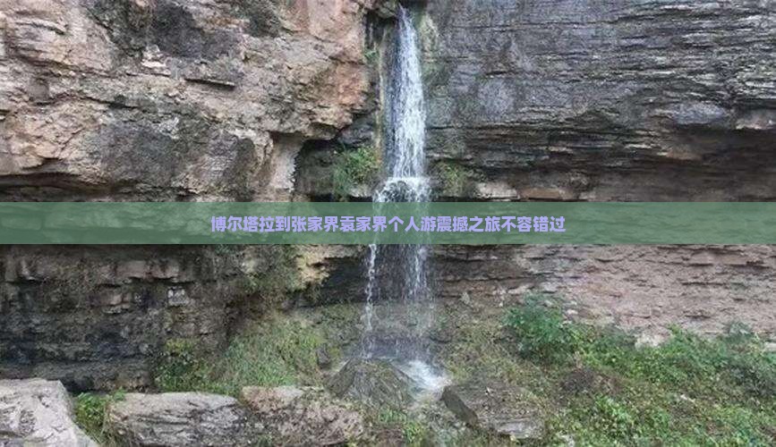 博尔塔拉到张家界袁家界个人游