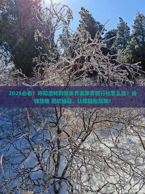 呼和浩特到张家界袁家界旅行社