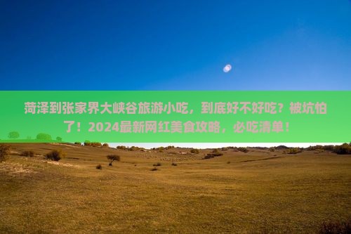 菏泽到张家界大峡谷旅游小吃