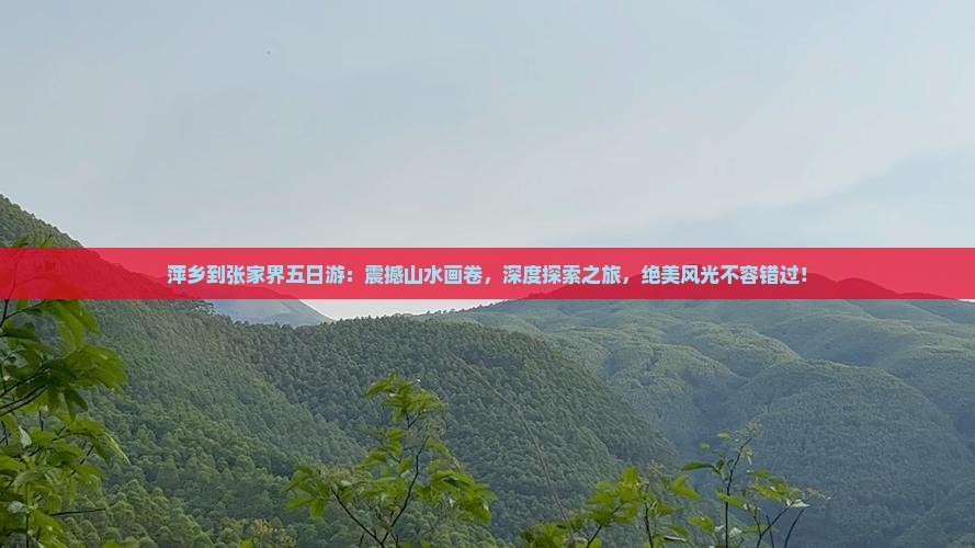 萍乡到张家界五日游