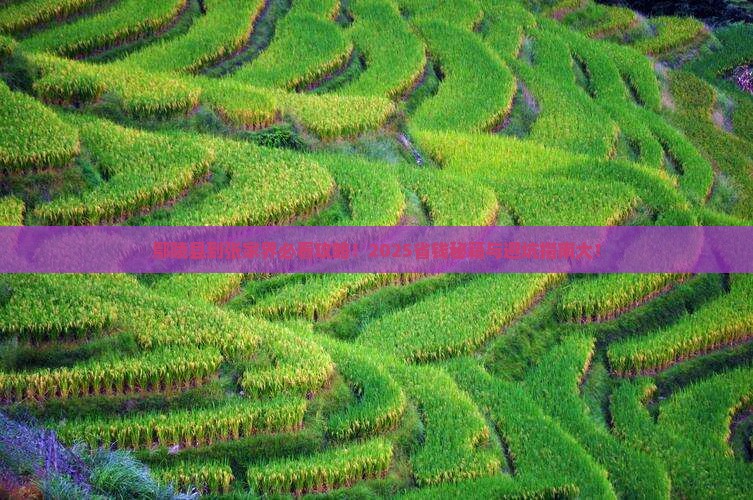 鄢陵县到张家界必去地
