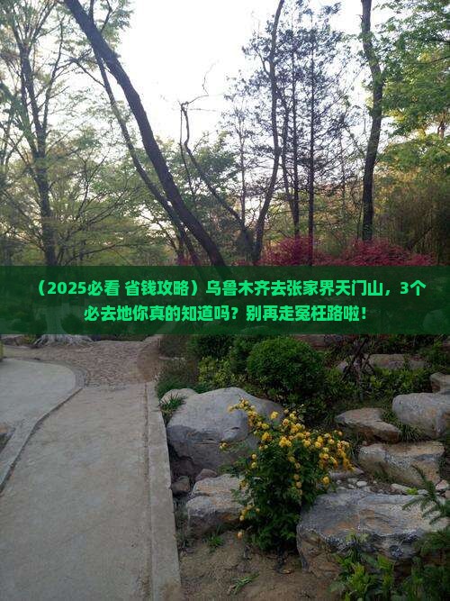 乌鲁木齐去张家界天门山必去地