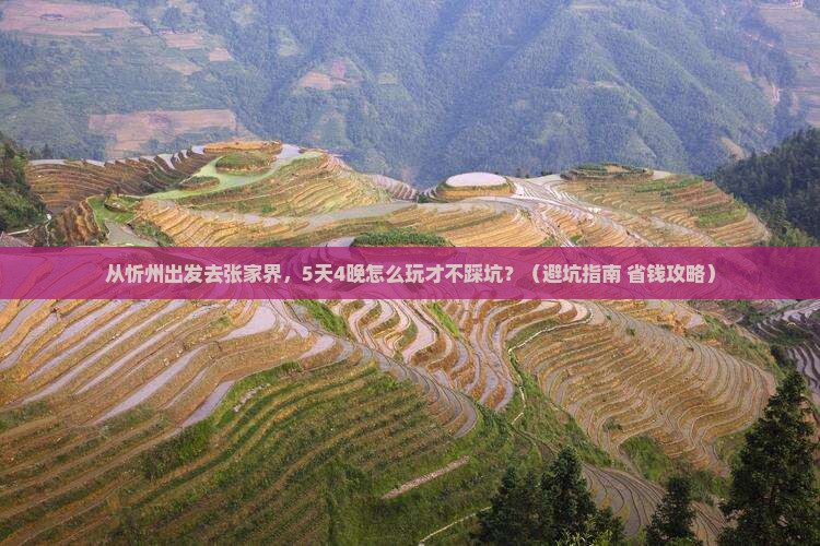 忻州去张家界大型旅游团