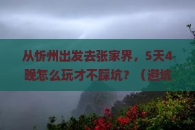 忻州去张家界大型旅游团
