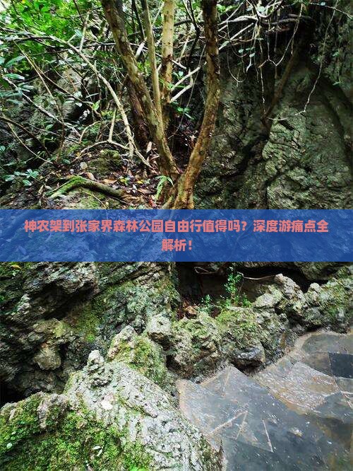 神农架到张家界森林公园自由行