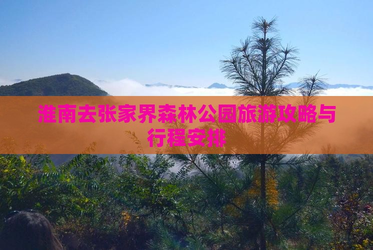 淮南去张家界森林公园团体旅游