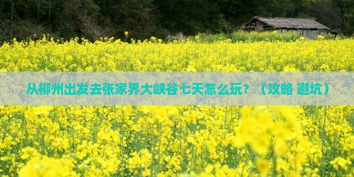 柳州去张家界大峡谷七日游