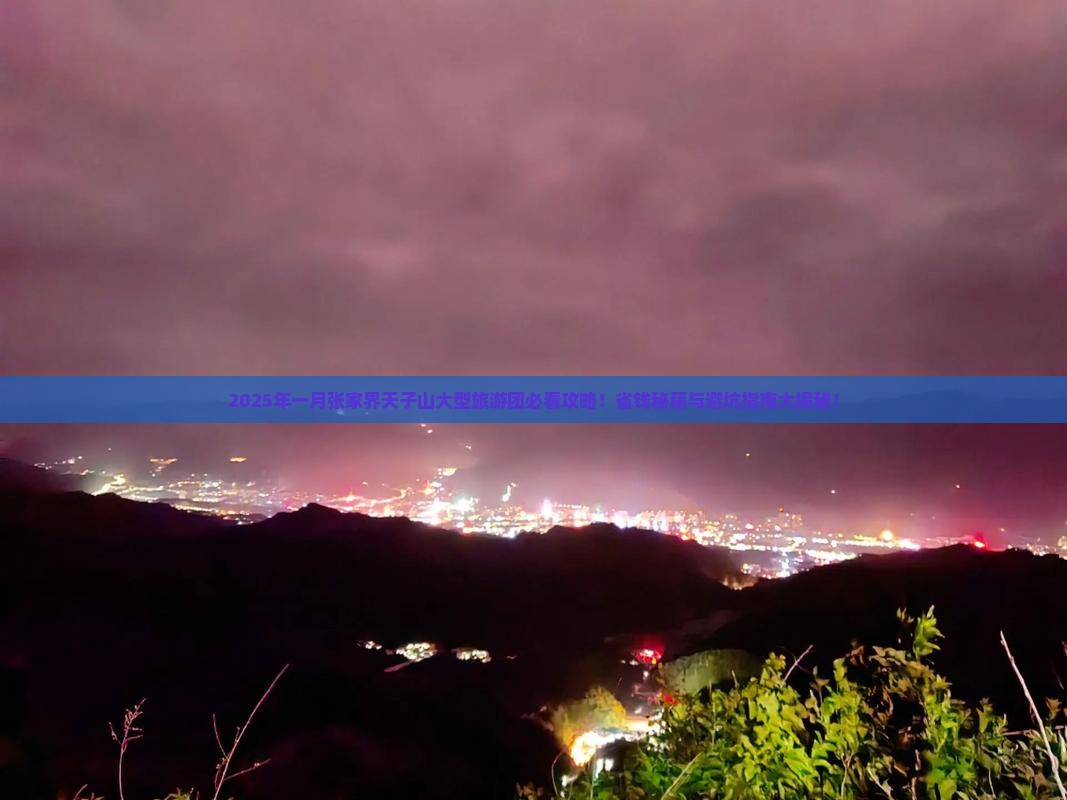 一月到张家界天子山大型旅游团
