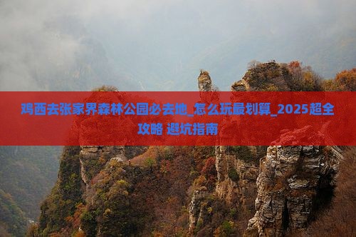 鸡西去张家界森林公园必去地