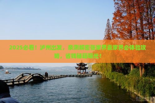 泸州到张家界袁家界景点