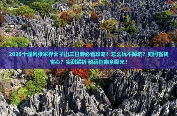 十堰到张家界天子山三日游
