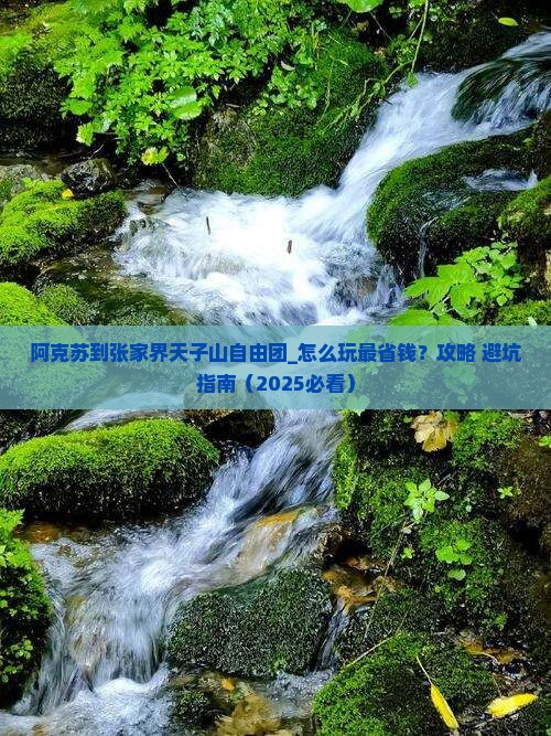 阿克苏到张家界天子山自由团
