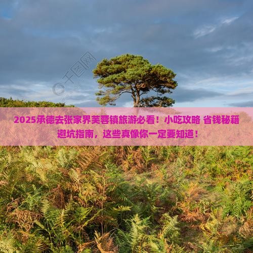 承德去张家界芙蓉镇旅游小吃