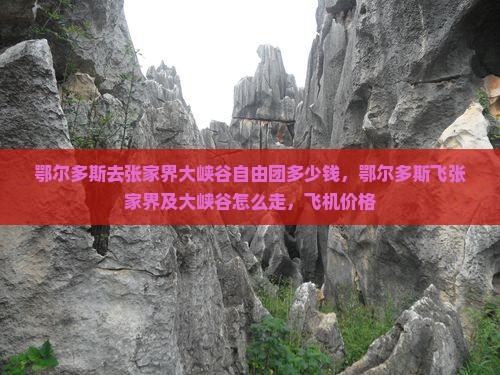 鄂尔多斯去张家界大峡谷自由团