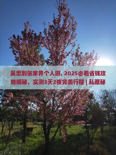 吴忠到张家界个人游