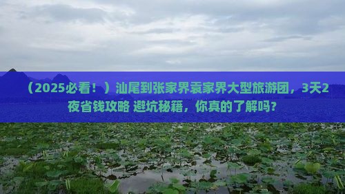 汕尾到张家界袁家界大型旅游团