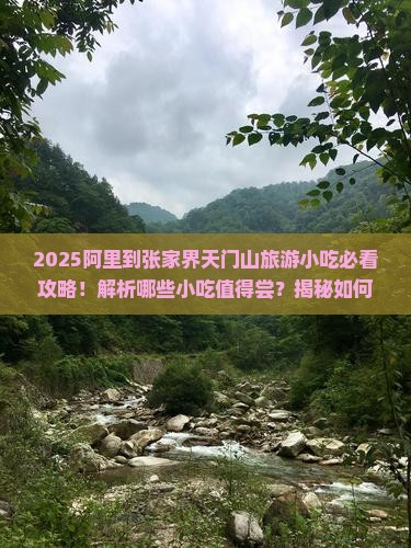 阿里到张家界天门山旅游小吃