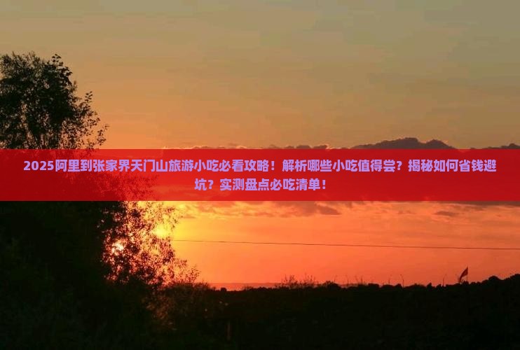 阿里到张家界天门山旅游小吃