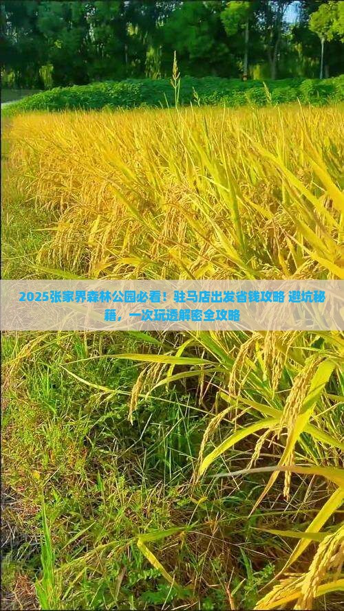 驻马店去张家界森林公园旅行社